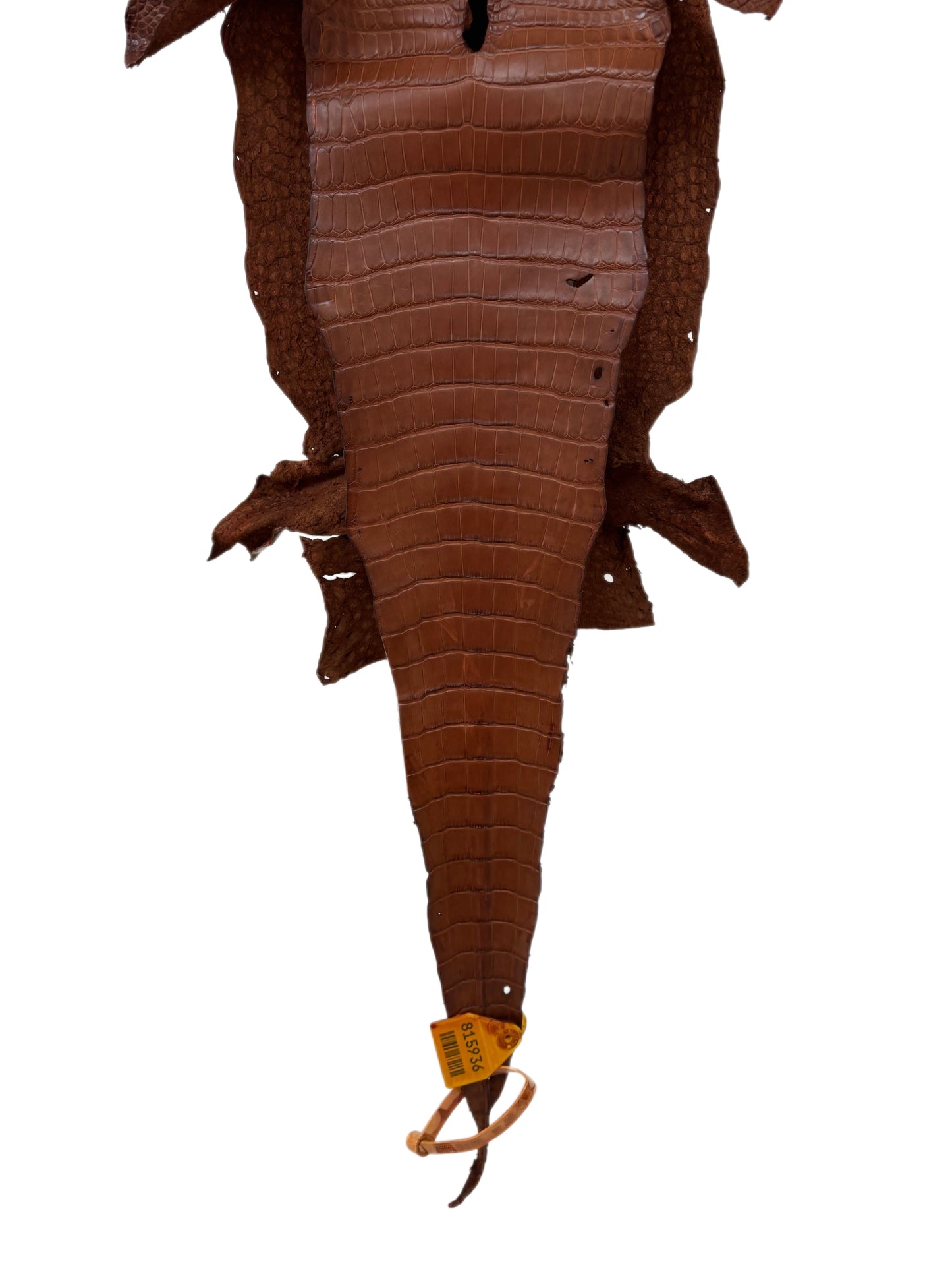 23 cm Grade 1/2 Rustic Cognac Matte Farm-Raised American Alligator Leather - Tag: LA08-0216181