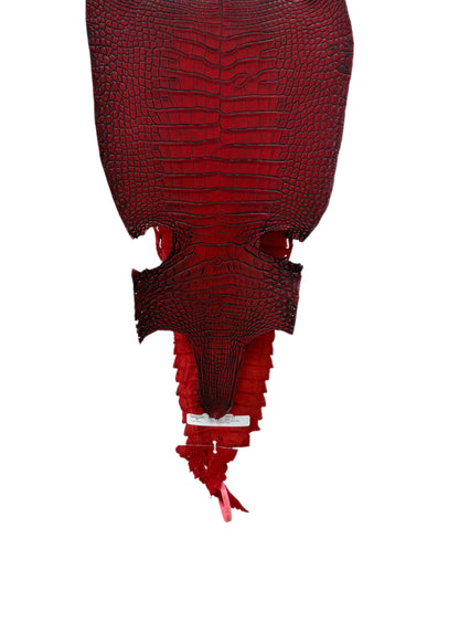 30 cm Grade 1/2 Candy Apple Red Antique Farm-raised American Alligator Leather - Tag: FL21-0023985