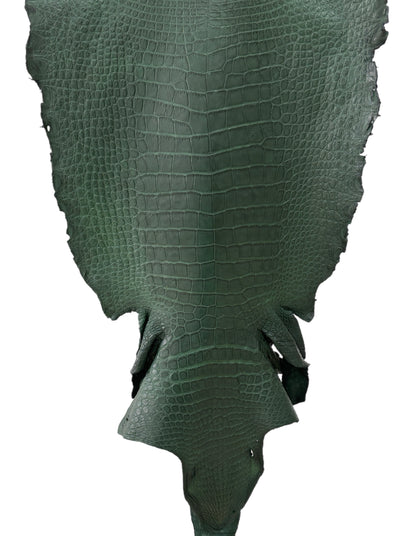 47 cm Grade 3/4 Forest Green Matte Wild American Alligator Leather - Tag: LA23-0016529