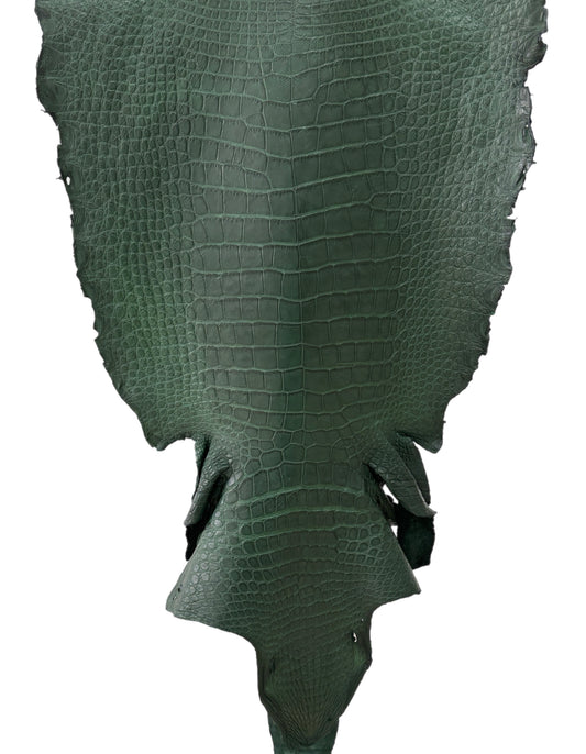 47 cm Grade 3/4 Forest Green Matte Wild American Alligator Leather - Tag: LA23-0016529