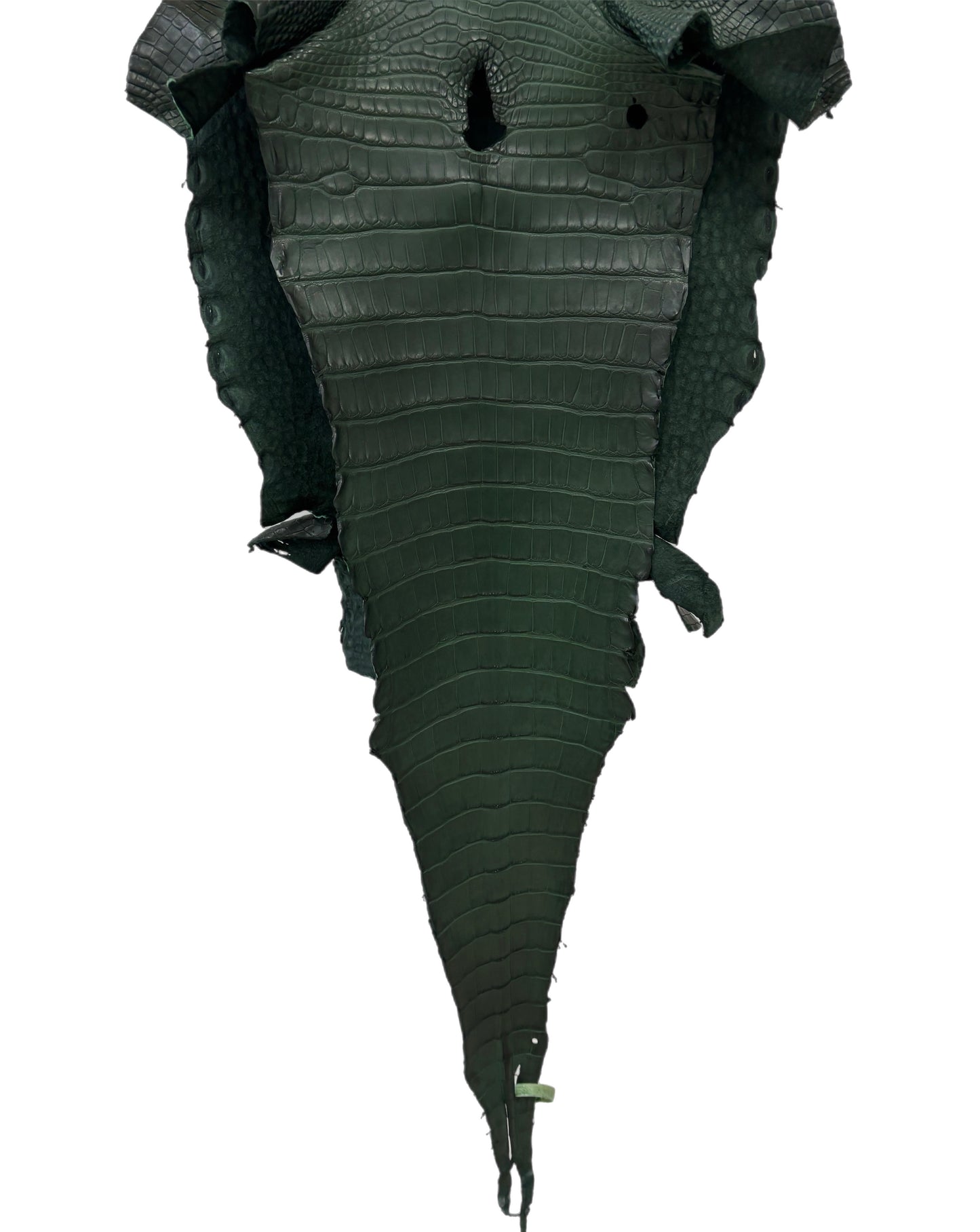 33 cm Grade 2/3 Forest Green Matte Farm- Raised American Alligator Leather - Tag: LA17-0274530