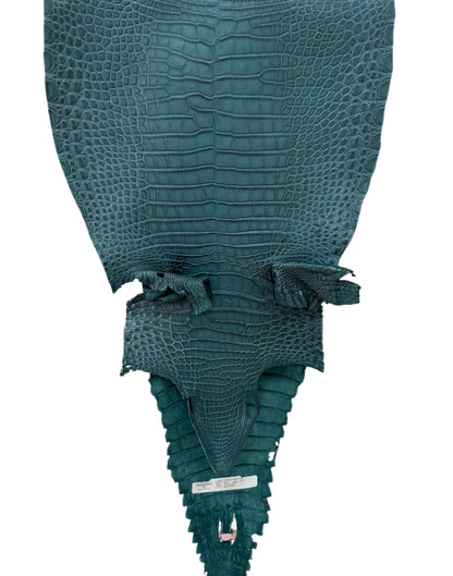 38 cm Grade 3/4 Teal Matte Farm-Raised American Alligator Leather - Tag: FL18-0034884