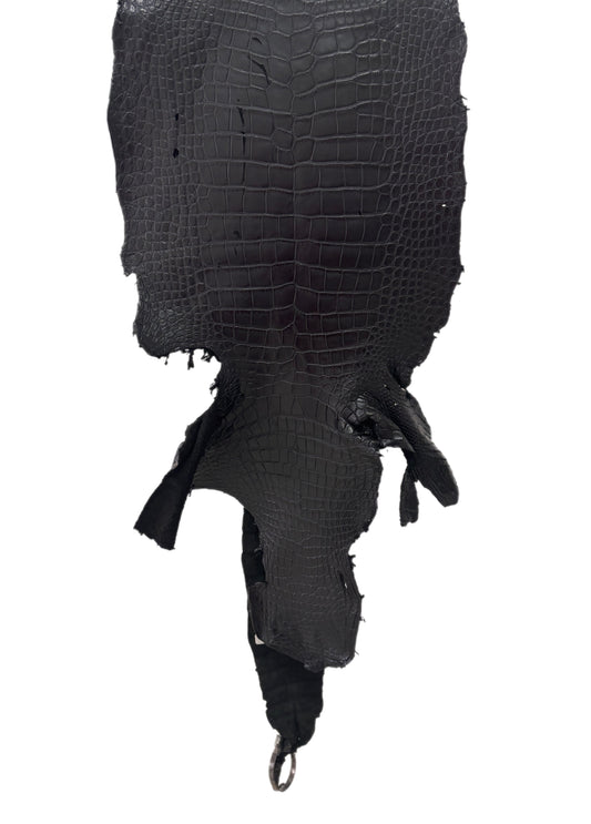 35 cm Grade 4/5 Black Matte Wild American Alligator Leather - Tag: LA23-0019768