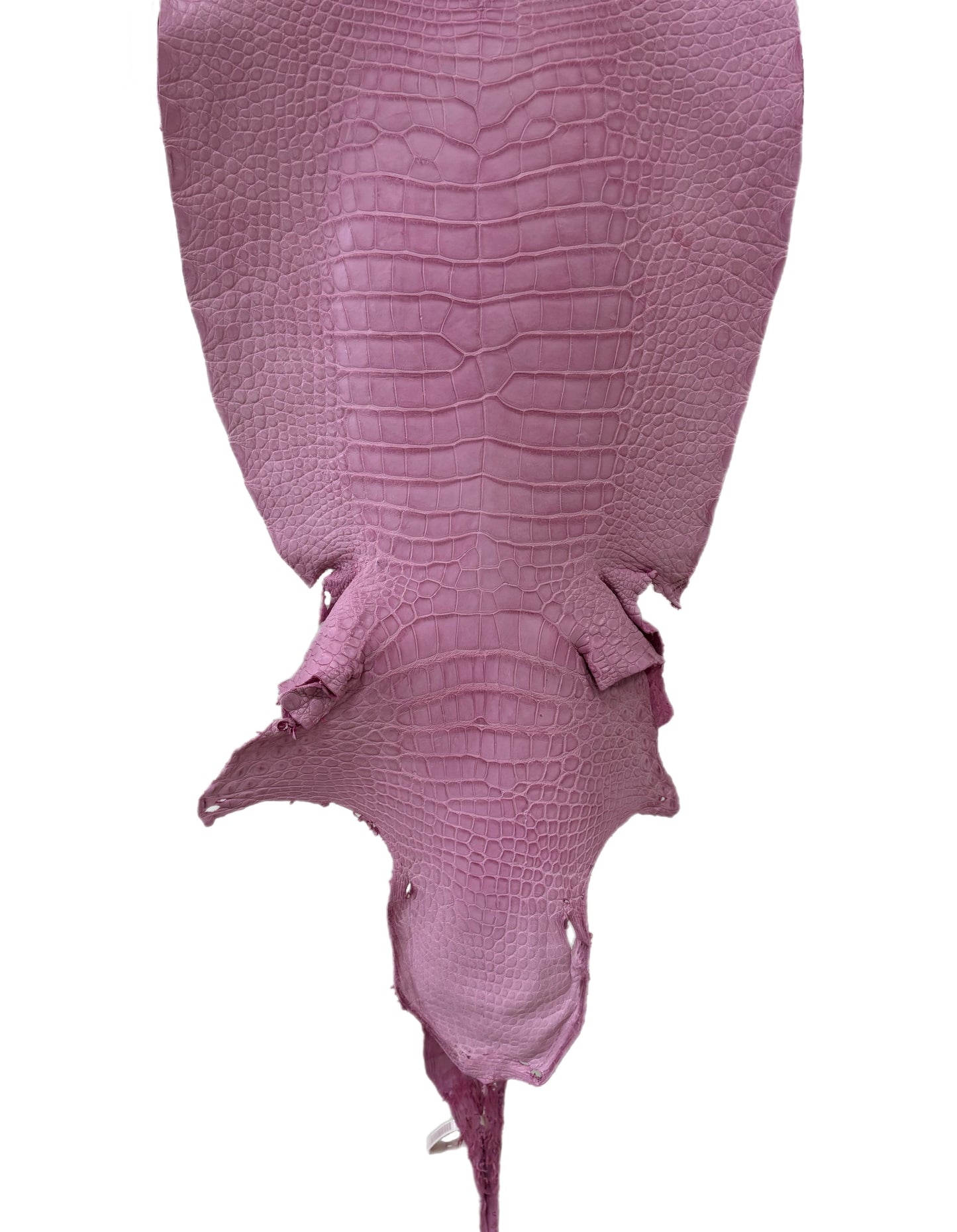 40 cm Grade 2/3 Cotton Candy Matte Wild American Alligator Leather - Tag: LA23-0004844