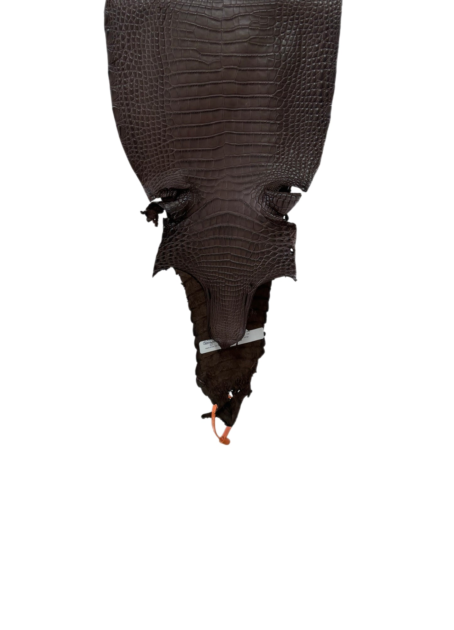 26 cm Grade 1/2 Chocolate Matte Farm-Raised American Alligator Leather - Tag: FL21-0024740