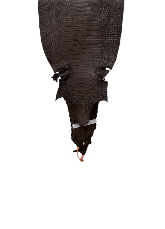 26 cm Grade 1/2 Chocolate Matte Farm-Raised American Alligator Leather - Tag: FL21-0024740
