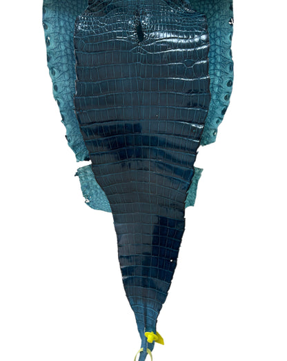30 cm Grade 1/2 Tahiti Glazed Farm-Raised American Alligator Leather - Tag: FL16-0027393
