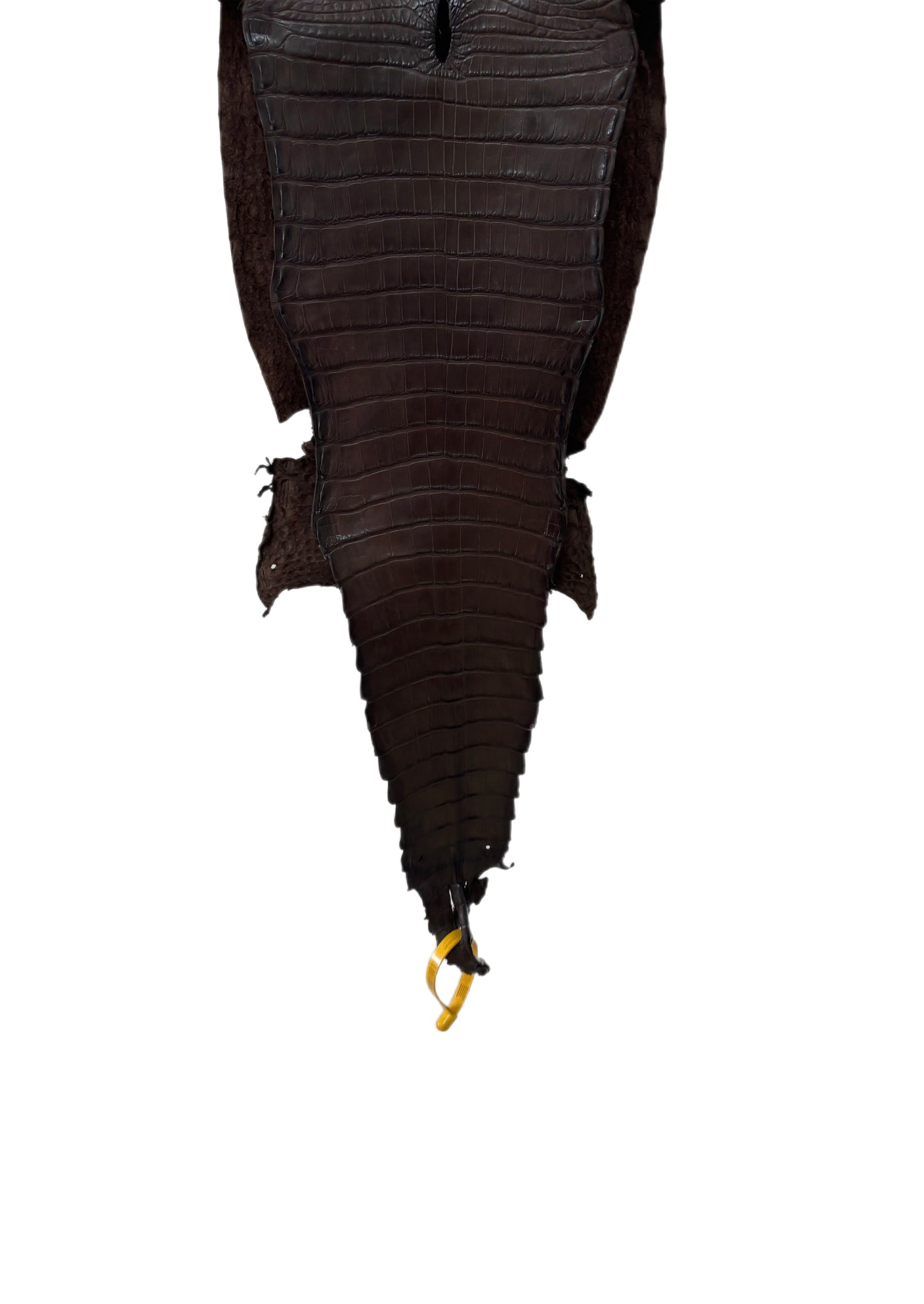 26 cm Grade 1/2 Chocolate Matte Farm-Raised American Alligator Leather - Tag: FL22-0030152