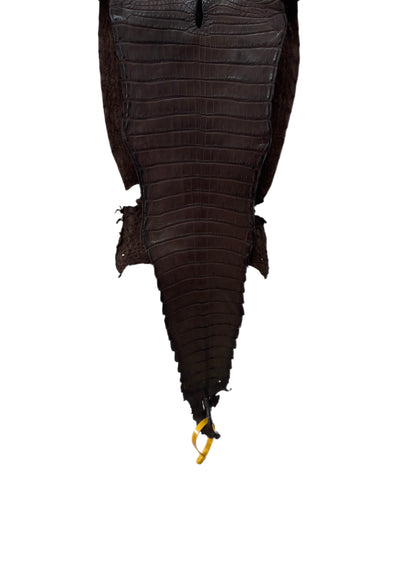 26 cm Grade 1/2 Chocolate Matte Farm-Raised American Alligator Leather - Tag: FL22-0030152