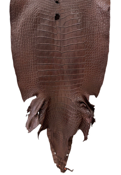 54 cm Grade 3/4 Chocolate Matte Wild American Alligator Leather - Tag: LA24-0023955