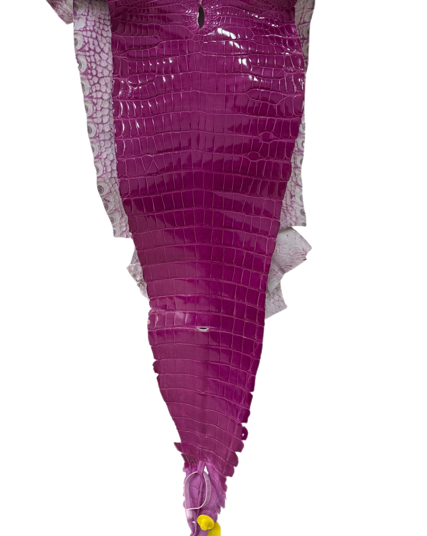 33 cm Grade 1/2 Magenta Glazed Wild American Alligator Leather - Tag: GA15-0046525
