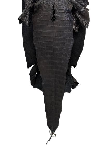 42 cm Grade 2/3 Black Matte Wild American Alligator Leather - Tag: LA16-0033690