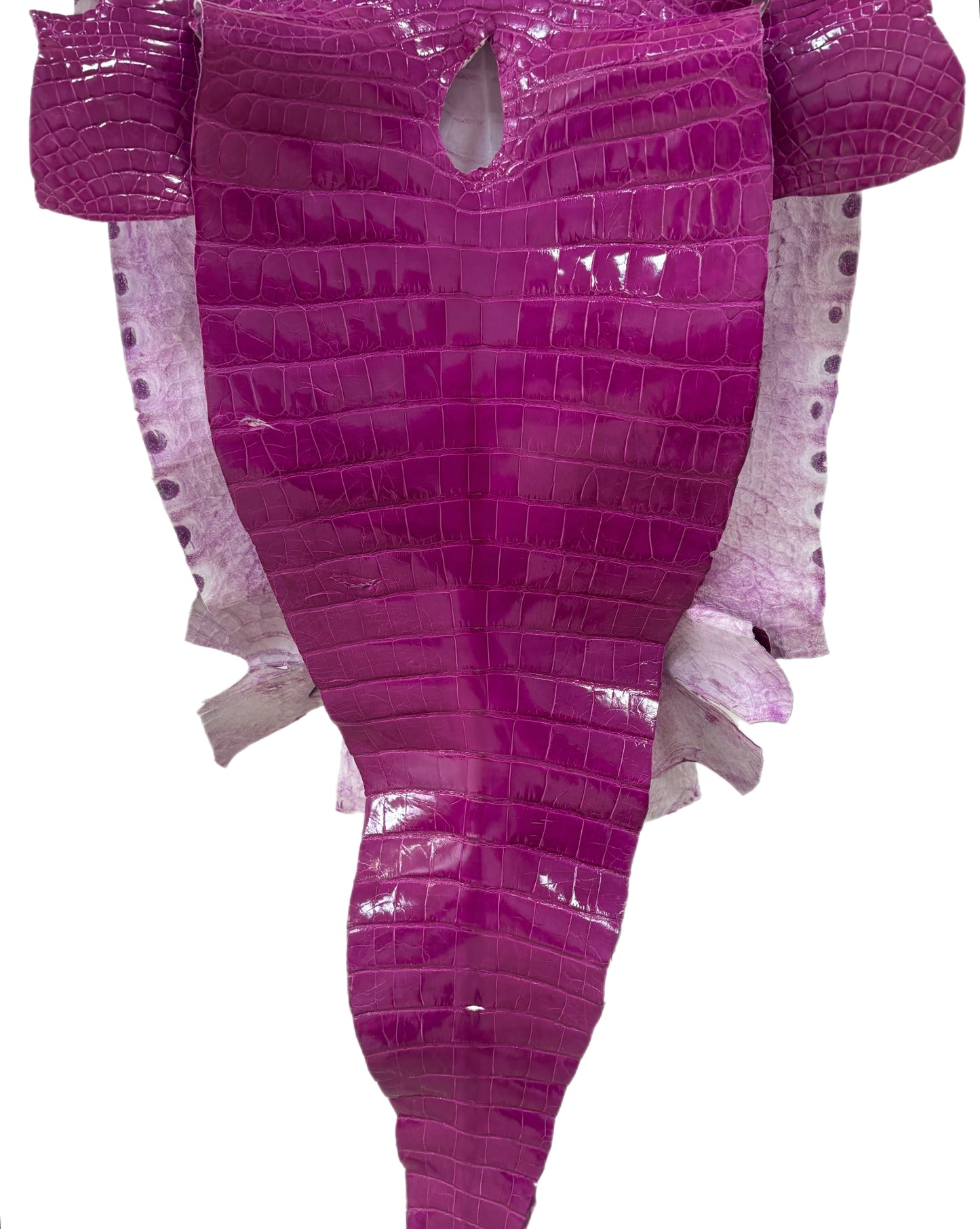 51 cm Grade 2/3 Magenta Glazed Farm Raised American Alligator Leather - Tag: FL14-0003606