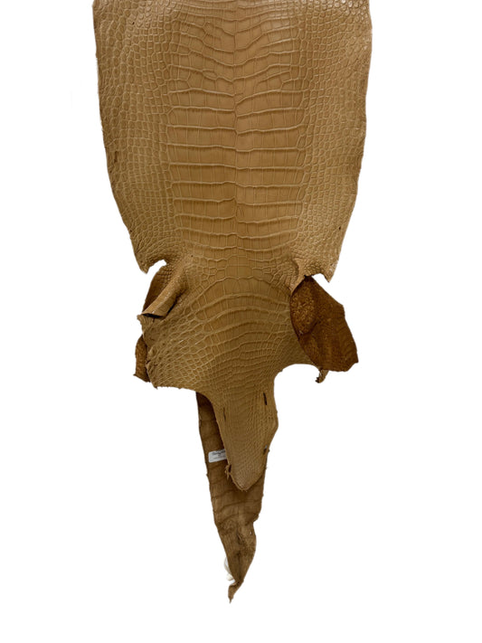 33 cm Grade 2/3 Antique Saddle Matte Wild American Alligator Leather - Tag: LA17-0034114