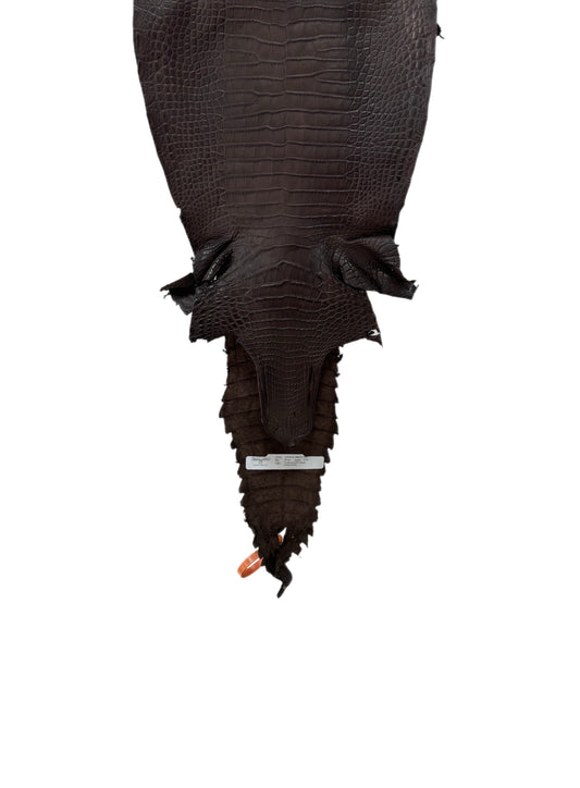 29 cm Grade 2/3 Chocolate Matte Farm-Raised American Alligator Leather - Tag: FL21-0024478