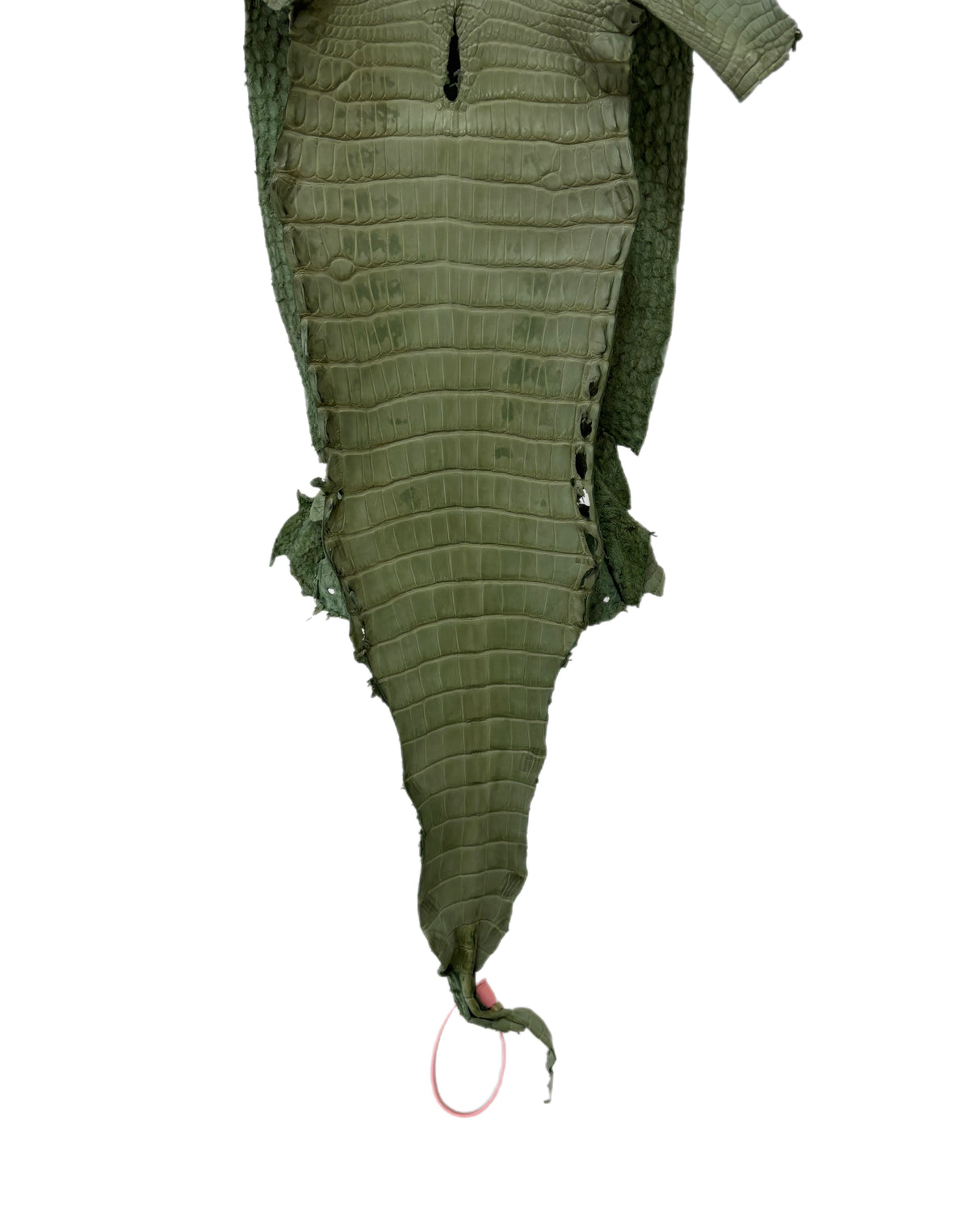 New Color! 23 cm Grade 1/2 Sage Green Matte Farm-Raised American Alligator Leather - Tag: LA24-0228887