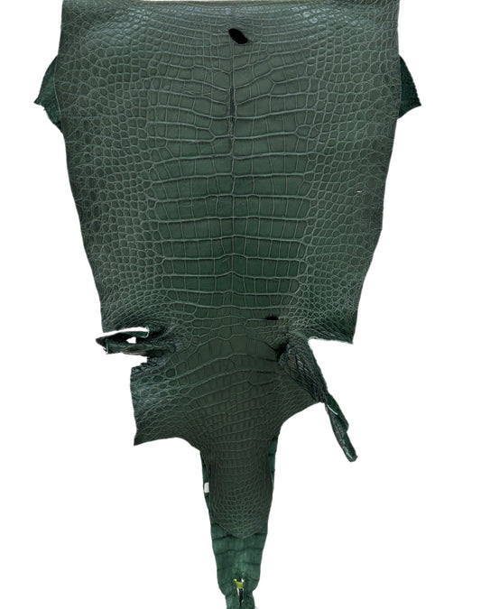 36 cm Grade 4/5 Forest Green Matte Wild American Alligator Leather - Tag: LA19-0016413