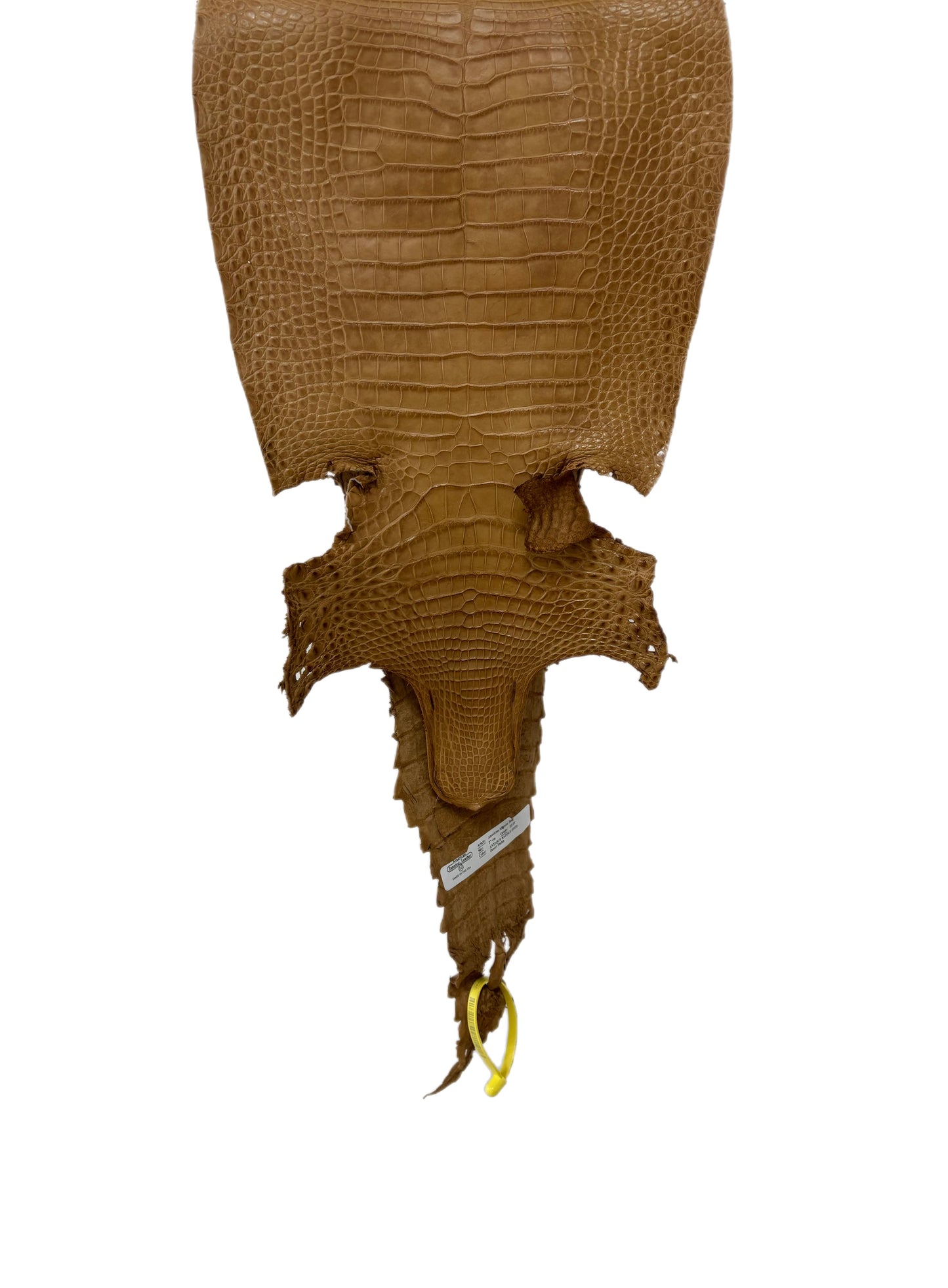 27 cm Grade 3/4 Antique Saddle Matte Farm-Raised American Alligator Leather - Tag: FL22-0030057
