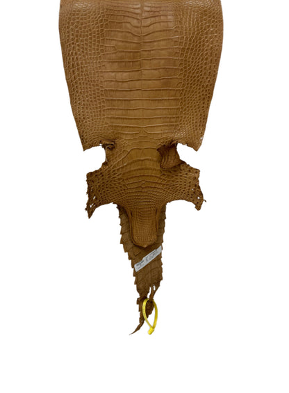 27 cm Grade 3/4 Antique Saddle Matte Farm-Raised American Alligator Leather - Tag: FL22-0030057