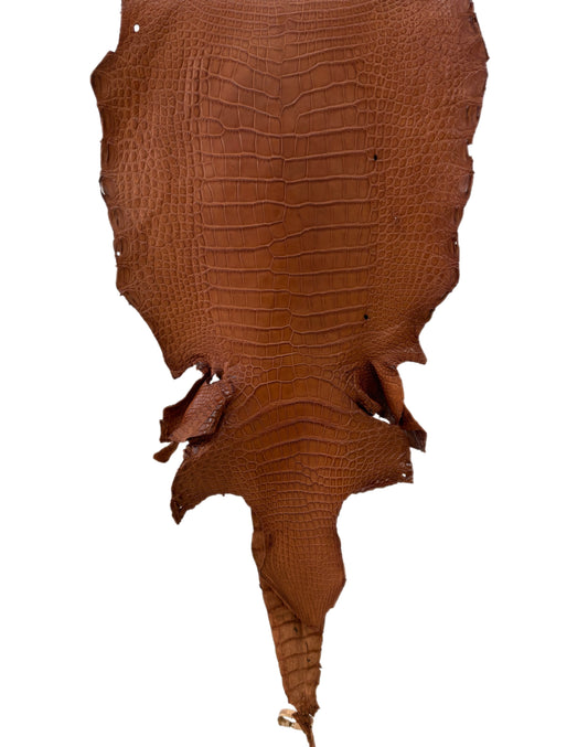 37 cm Grade 3/4 Cognac Matte Wild American Alligator Leather - Tag: LA23-0002124