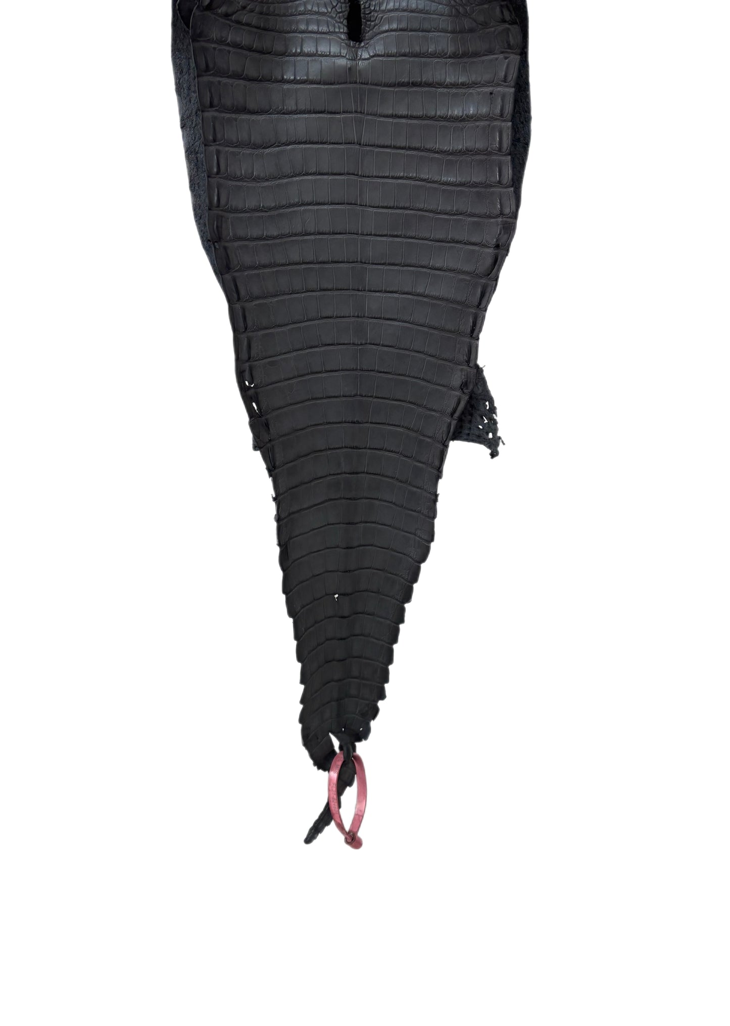 25 cm Grade 1 Serpentine Grey Matte Farm-Raised American Alligator Leather - Tag: FL21-0024601