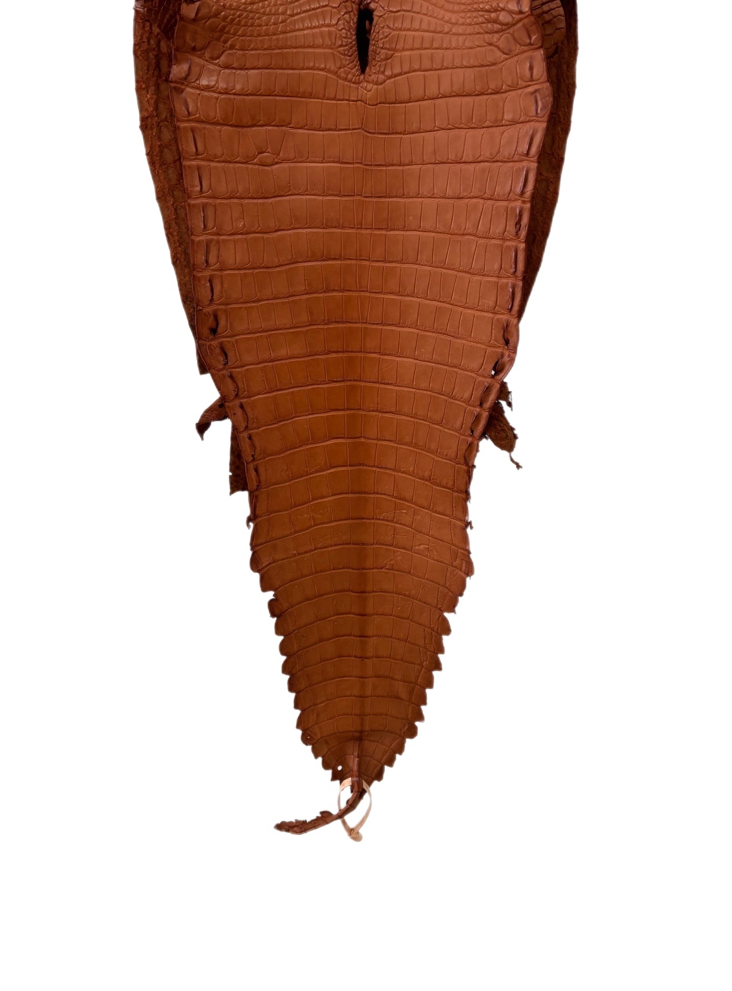 35 cm Grade 2/3 Cognac Matte Farm-Raised American Alligator Leather - Tag: FL17-0052826