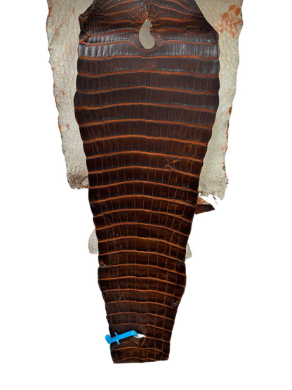 30 cm Grade 1/2 Sienna Matte Wild American Alligator Leather - Tag: ESRE-0050719