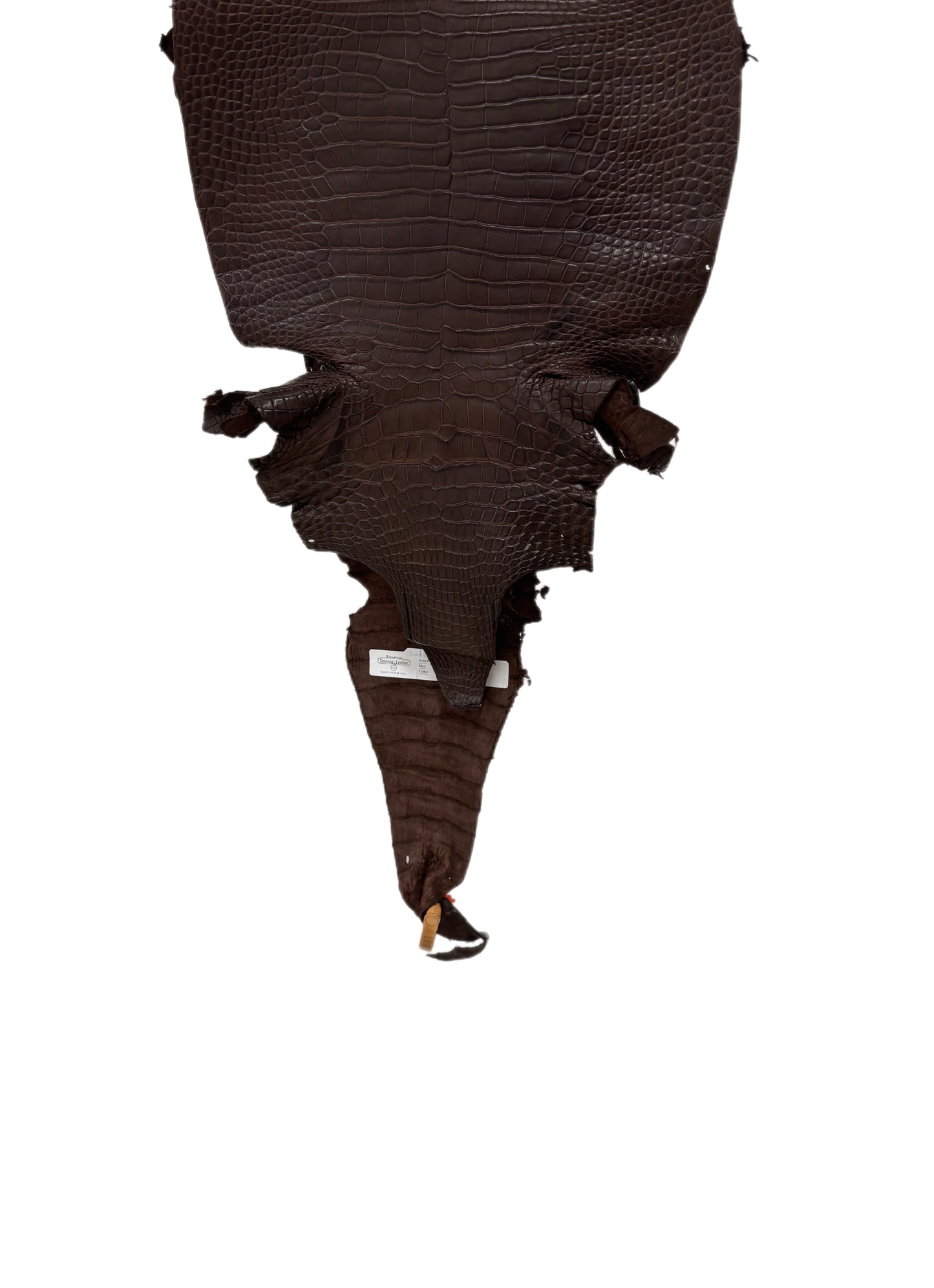 30 cm Grade 1/2 Chocolate Matte Farm-Raised American Alligator Leather - Tag: LA23-0531212