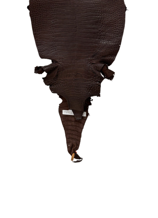30 cm Grade 1/2 Chocolate Matte Farm-Raised American Alligator Leather - Tag: LA23-0531212