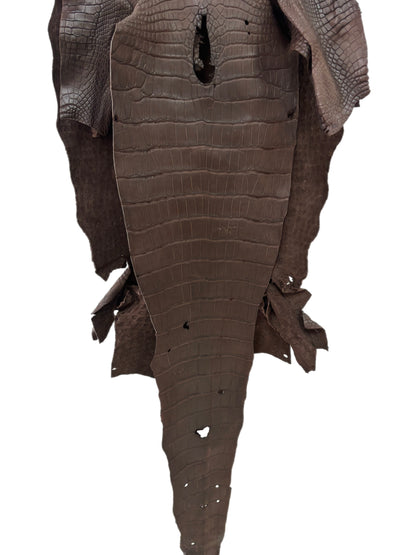 43 cm Grade 4/5 Chocolate Matte Wild American Alligator Leather - Tag: LA23-0002008