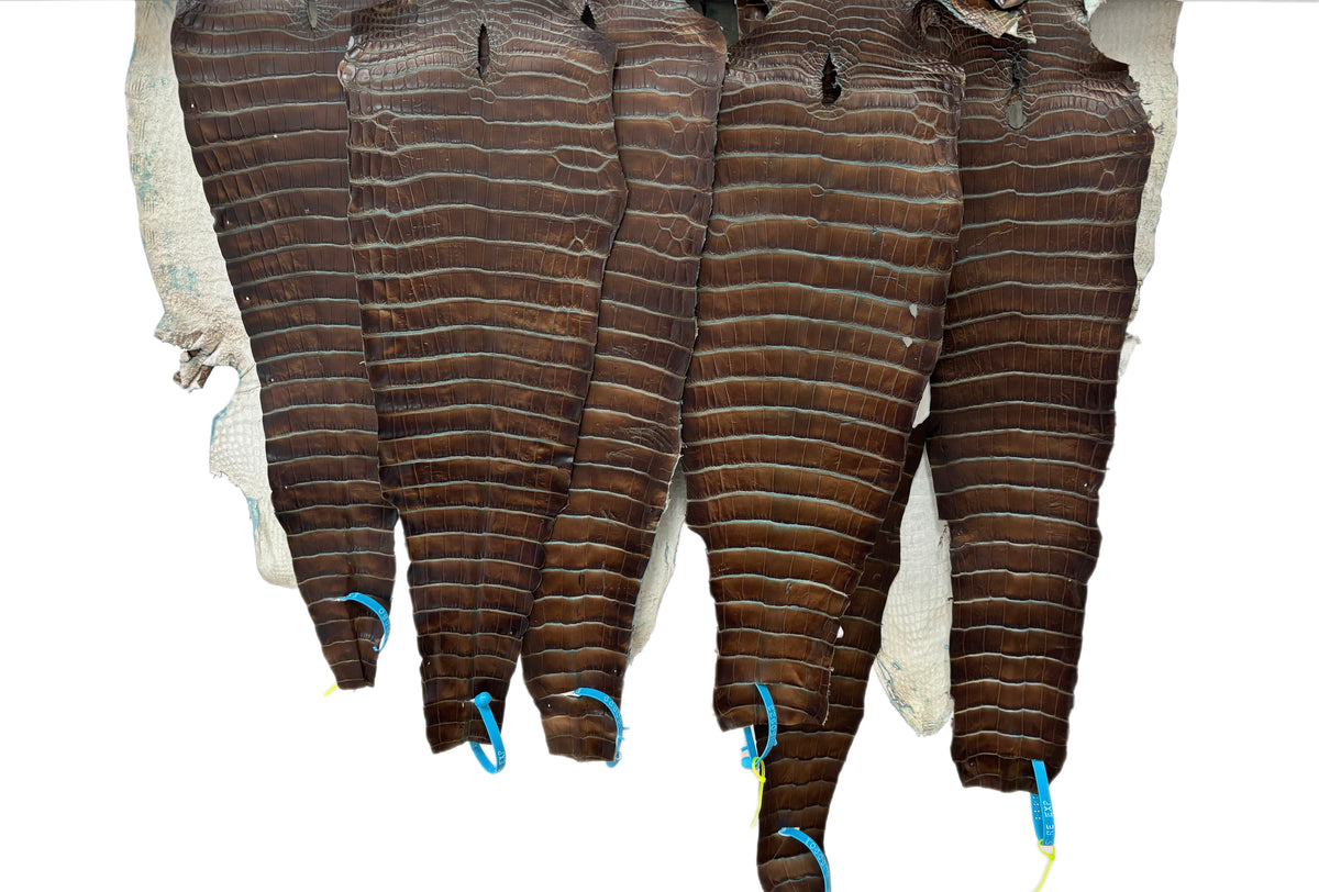 25-30 cm Grade 2/3 Pacifica Matte American Alligator Leather | Closeout Deal