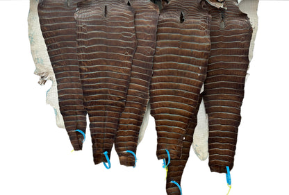 25-30 cm Grade 2/3 Pacifica Matte American Alligator Leather | Closeout Deal