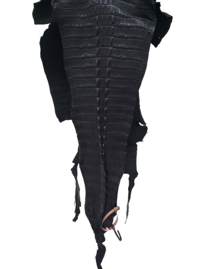 37 cm Grade 3/4 Black Matte Wild American Alligator Hornback Leather - Tag: FL14-0030212