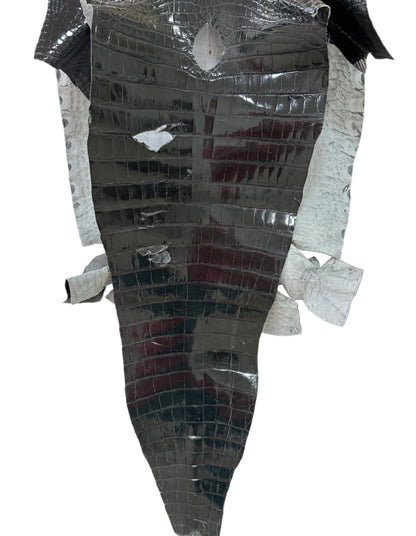 41 cm Grade 2/3 Grey Glazed Farm-Raised American Alligator Leather - Tag: GA14-0020744