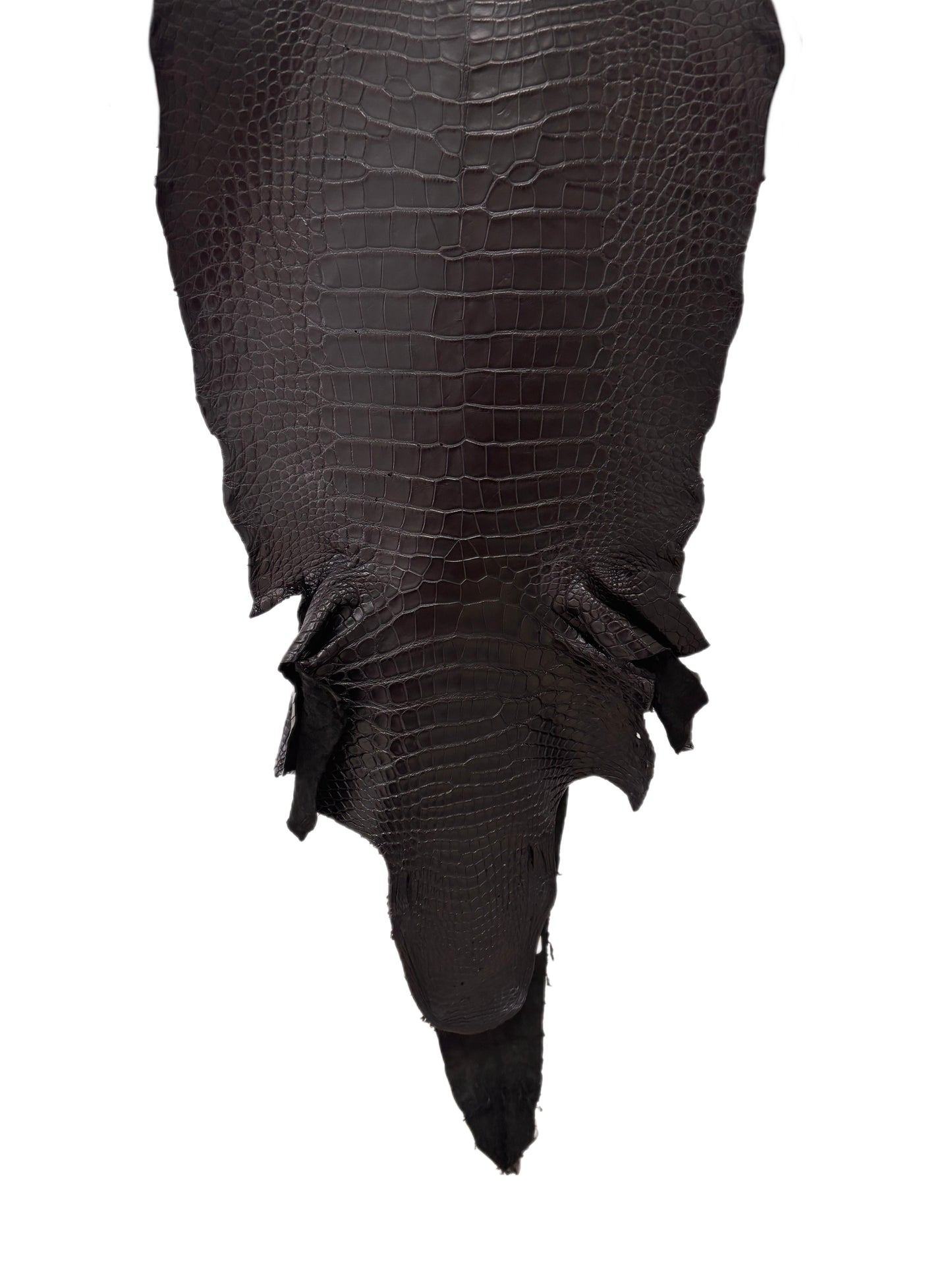 38 cm Grade 2/3 Black Matte Wild American Alligator Leather - Tag: LA17-0014532