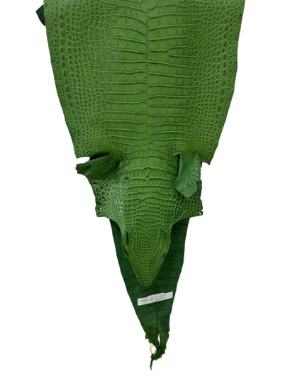 37 cm Grade 3/4 Jungle Green Matte Farm-Raised American Alligator Leather - Tag: FL18-0034776