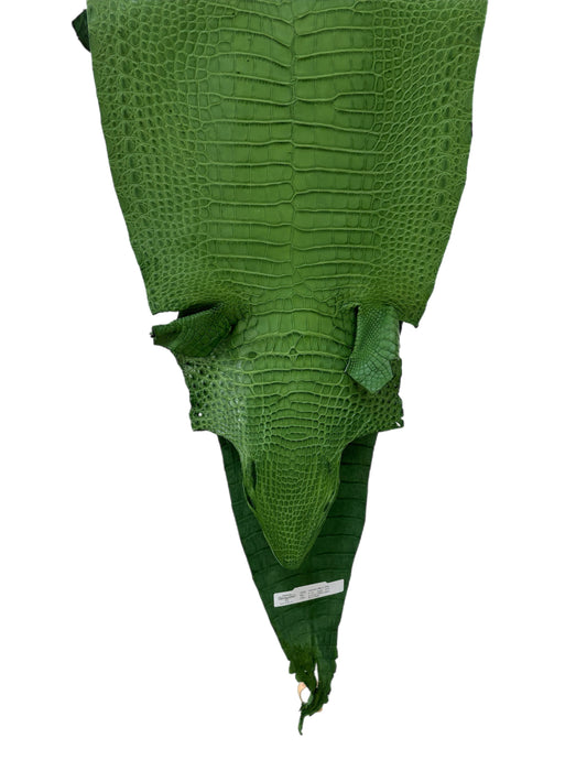 37 cm Grade 3/4 Jungle Green Matte Farm-Raised American Alligator Leather - Tag: FL18-0034776