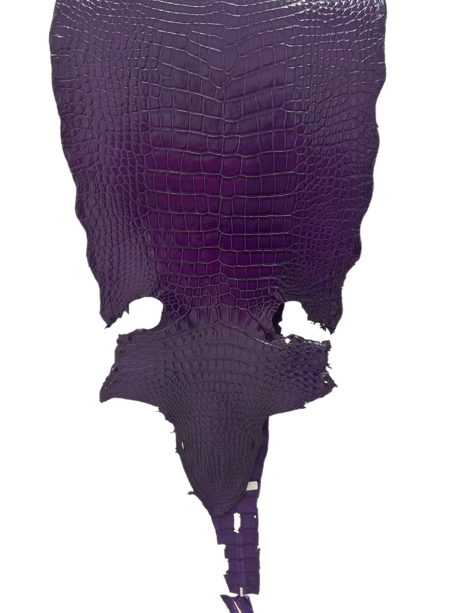 44 cm Grade 2/3 Violet Millennium Wild American Alligator Leather - Tag: LA19-0034349