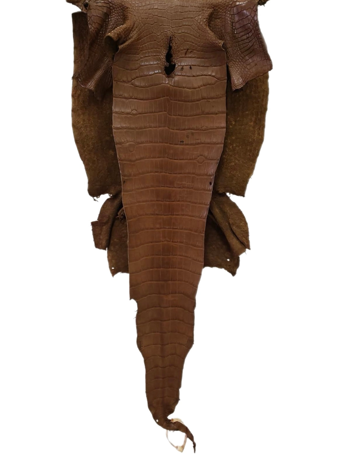 38 cm Grade 3/4 Kango Tabac Matte Wild American Alligator Leather - Tag: LA23-0004848