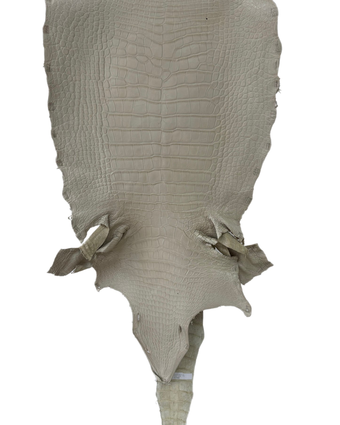 50 cm Grade 3/4 Dune Matte Wild American Alligator Leather - Tag: LA23-0014787