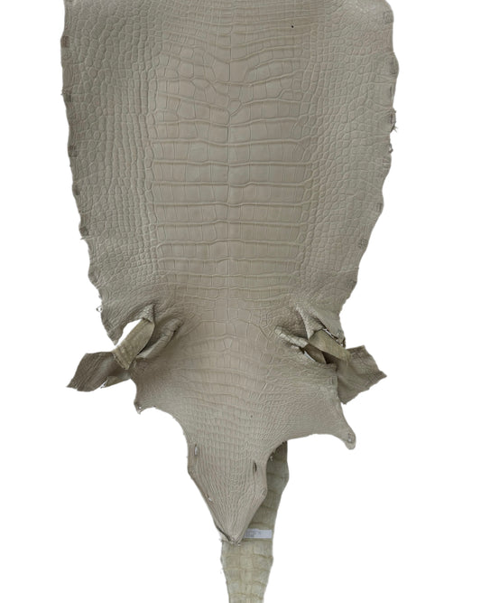 50 cm Grade 3/4 Dune Matte Wild American Alligator Leather - Tag: LA23-0014787