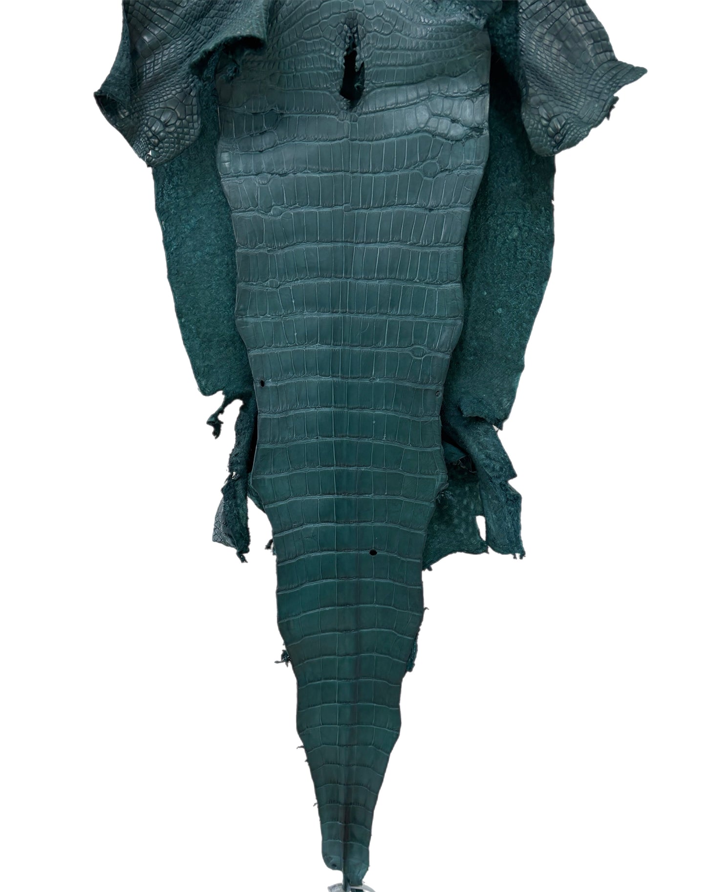 38 cm Grade 2/3 Teal Matte Wild American Alligator Leather - Tag: LA23-0051980