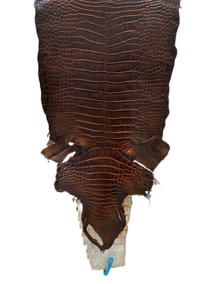 32 cm Grade 1/2 Sienna Matte Wild American Alligator Leather - Tag: ESRE-0033709