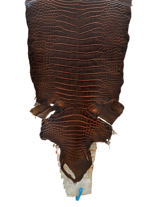 32 cm Grade 1/2 Sienna Matte Wild American Alligator Leather - Tag: ESRE-0033709