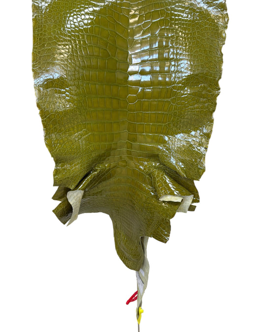CLOSEOUT | 43 cm Grade 2/3 Muguet Glazed Wild American Alligator Leather - Tag: CCIT-0539936