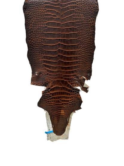 31 cm Grade 1/2 Sienna Matte Wild American Alligator Leather - Tag: ESRE-0033697