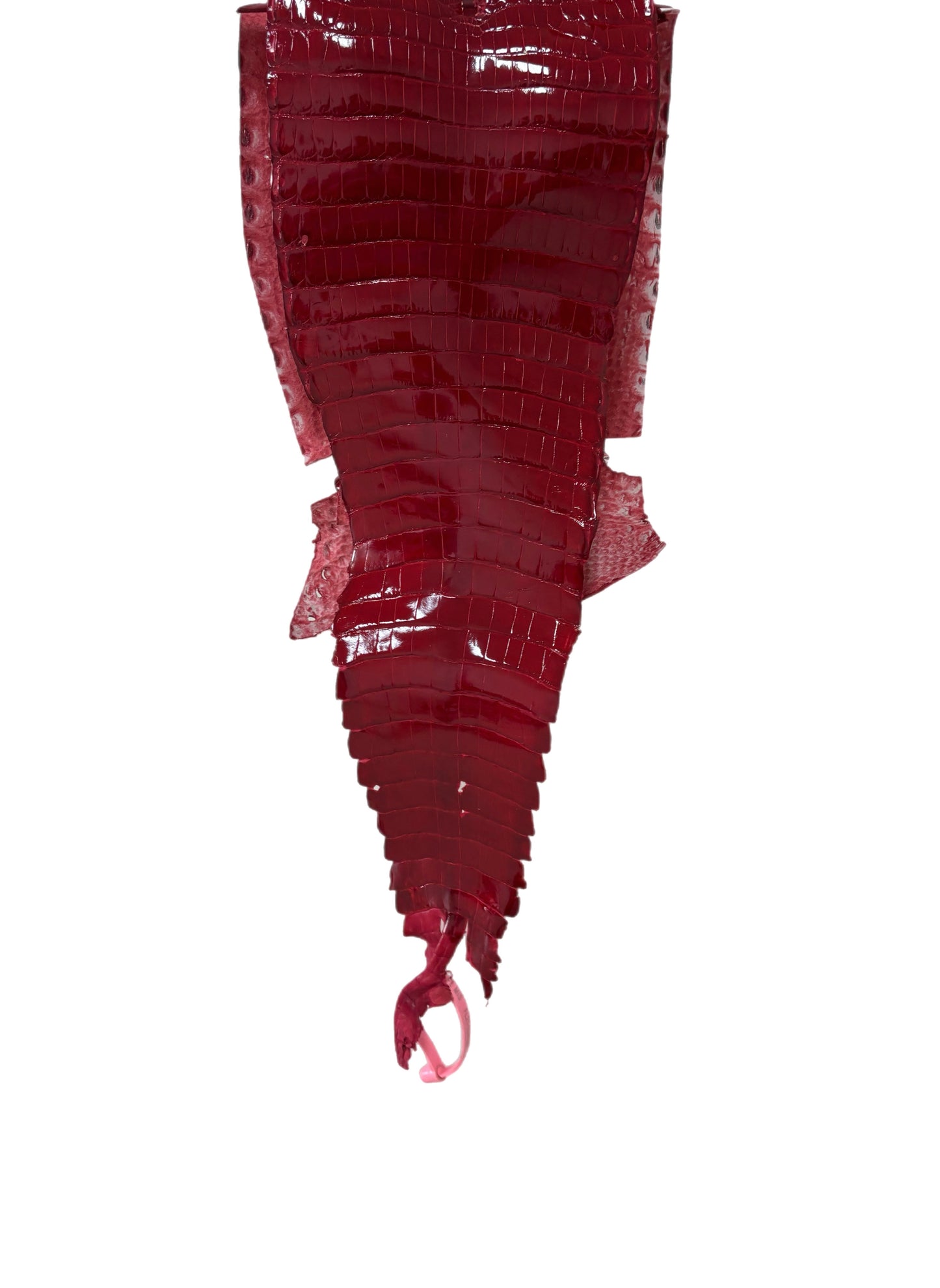 23 cm Grade 1 Red Classic Farm-Raised American Alligator Leather - Tag: FL21-0024529