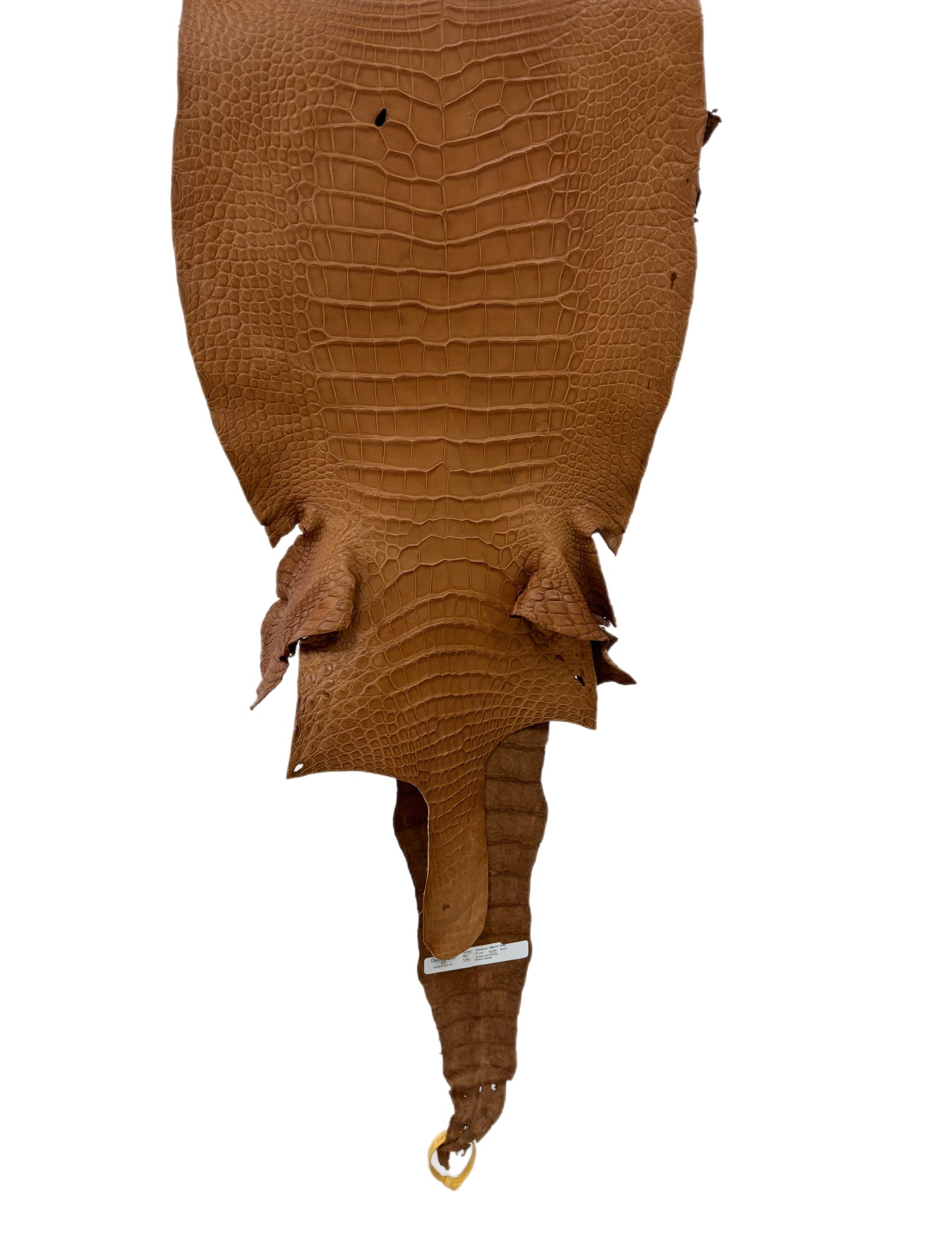 37 cm Grade 3/4 Almond Matte Wild American Alligator Leather - Tag: LA23-0014548