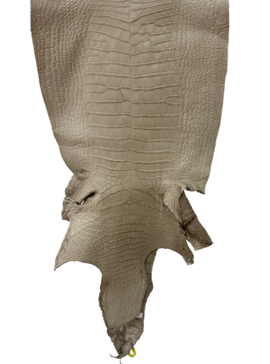 45 cm Grade 2/3 Oatmeal Matte Wild American Alligator Leather - Tag: LA25-0012102