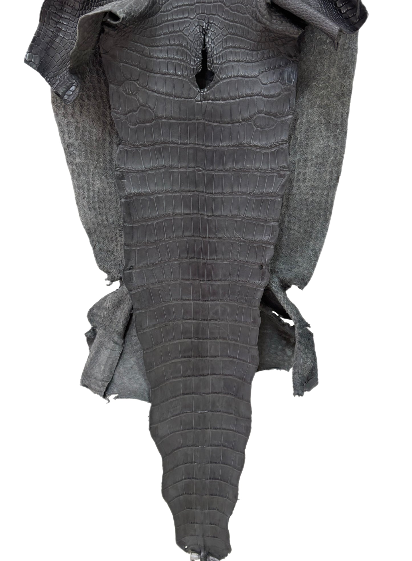 45 cm Grade 2/3 Serpentine Grey Matte Wild American Alligator Leather - Tag: LA23-0024054
